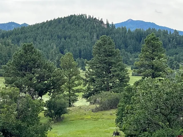 $150,000 | 1240 Crowley Drive, Chromo, CO 81128