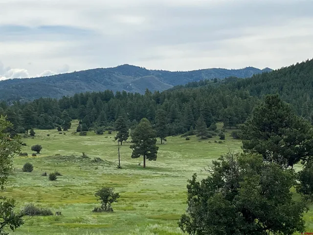 $150,000 | 1240 Crowley Drive, Chromo, CO 81128