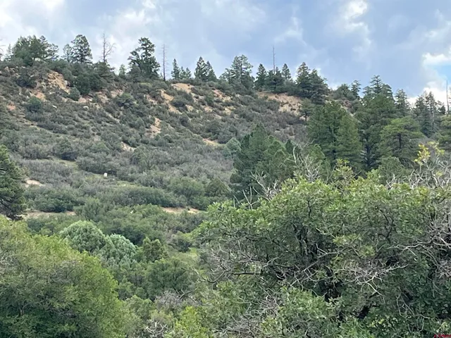 $150,000 | 1240 Crowley Drive, Chromo, CO 81128