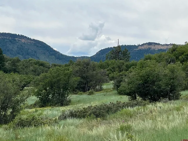 $150,000 | 1240 Crowley Drive, Chromo, CO 81128