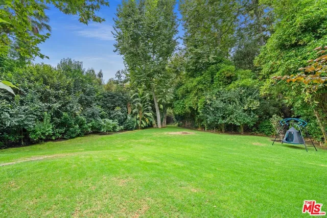 a view of a grassy field with trees