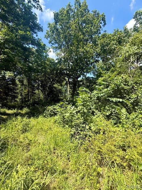 10595 Mill Road Bucyrus, MO 65444 - Photo 29 of 34