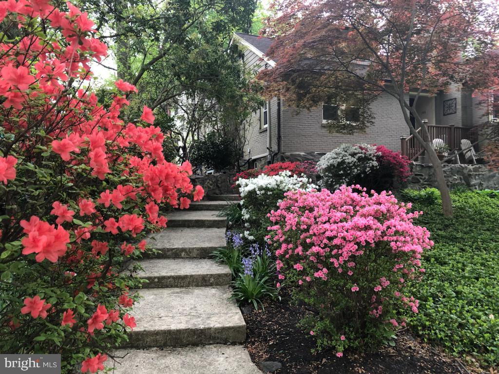 700 Pine Ridge Road Media, PA 19063 - Photo 36 of 37 Flowers in the spring leading to home :)