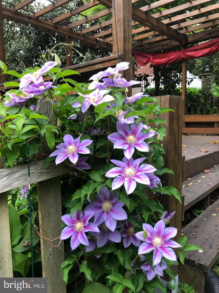 700 Pine Ridge Road Media, PA 19063 - Photo 37 of 37 It will only become more beautiful!