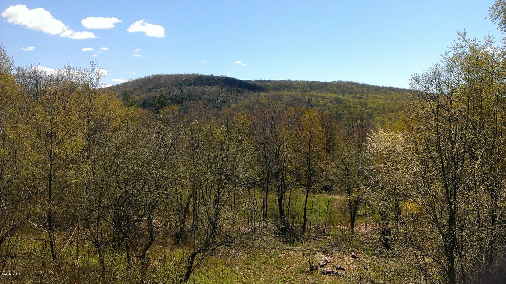 659 Kirchner Road Dalton, MA 01226 - Photo 2 of 18 Spring View