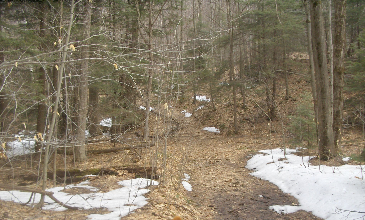 659 Kirchner Road Dalton, MA 01226 - Photo 16 of 18 Trails for hiking and horseback