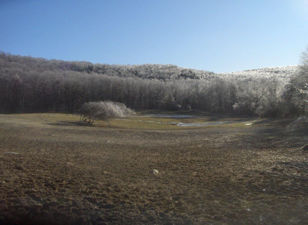 659 Kirchner Road Dalton, MA 01226 - Photo 4 of 18 Harmony Trails, 95 acres in Dalton