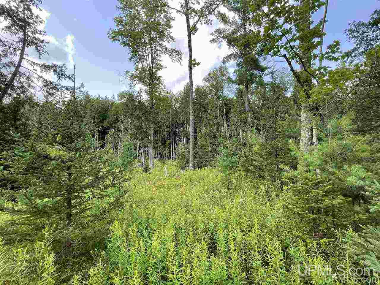 Tbd Sand Road, Unit 2 Powers, MI 49874 - Photo 28 of 38
