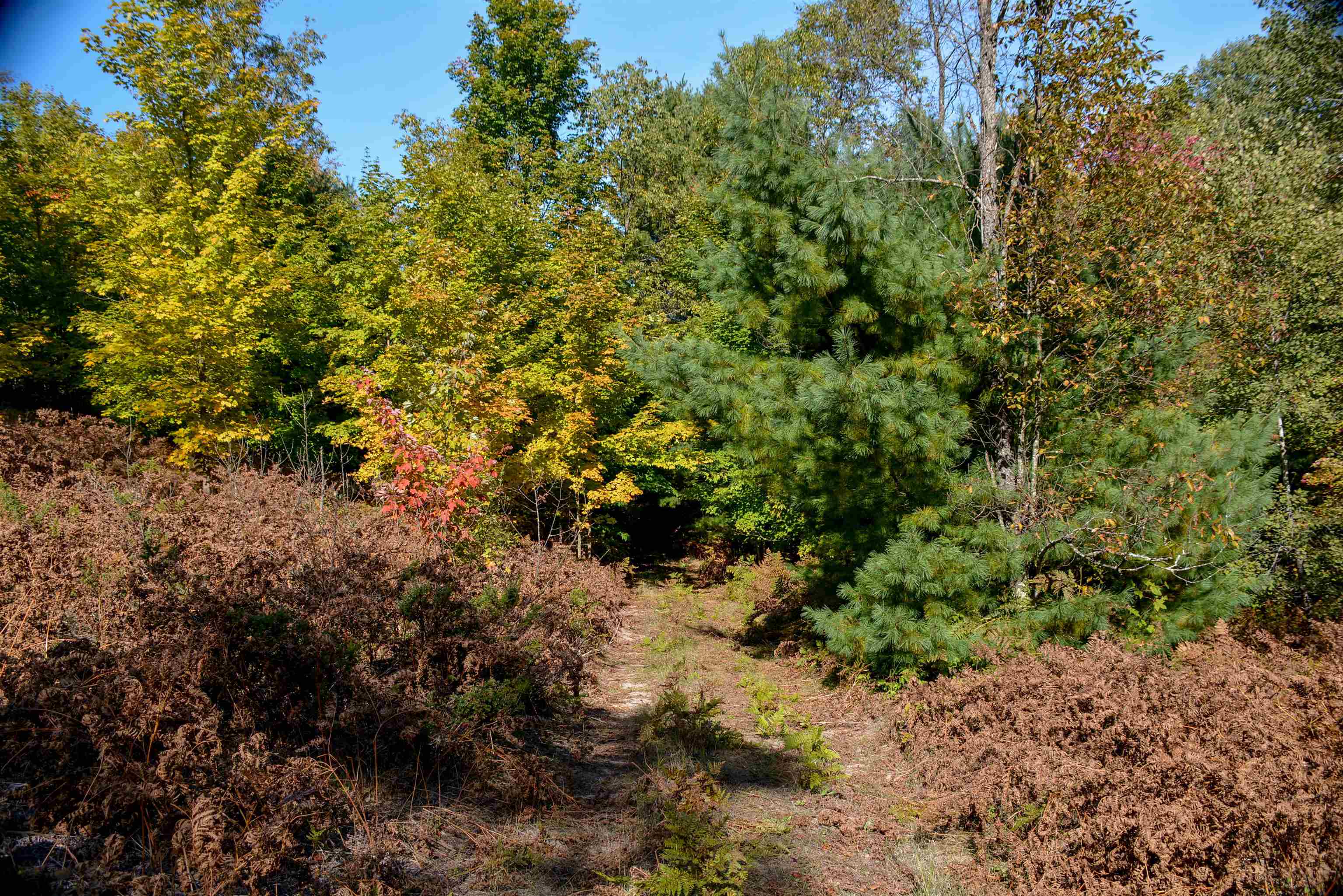 0 South Tager Road Traverse City, MI 49684 - Photo 11 of 20