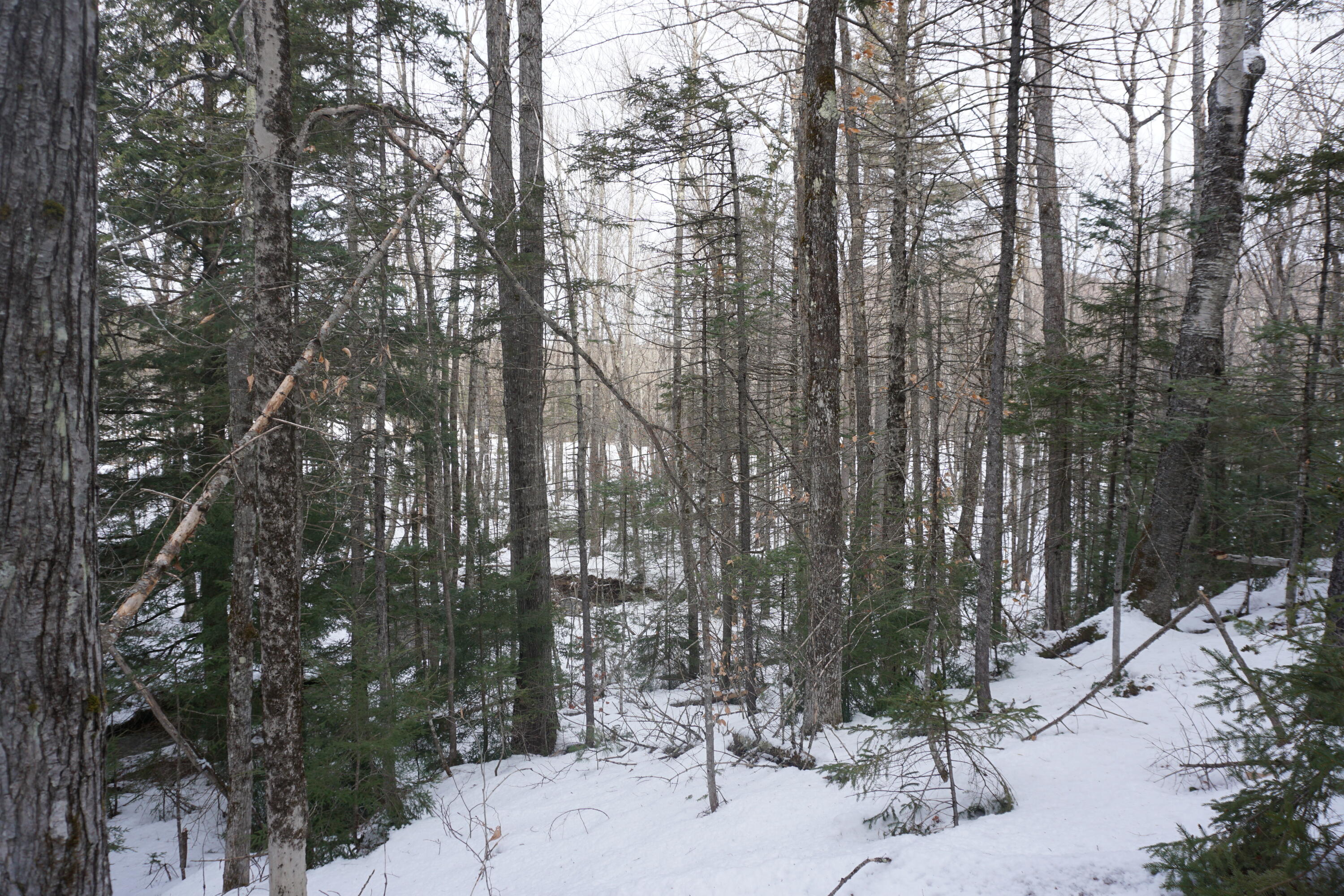 1 Redding Road Sumner, ME 04292 - Photo 13 of 21