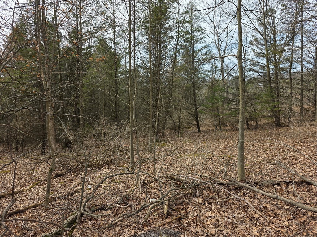 Dingman Hill Road Bainbridge, NY 13733 - Photo 11 of 21