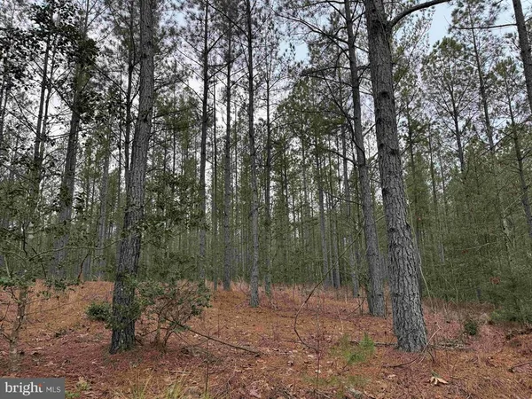 $780,000 | Dogwood Drive, Farnham, VA 22460