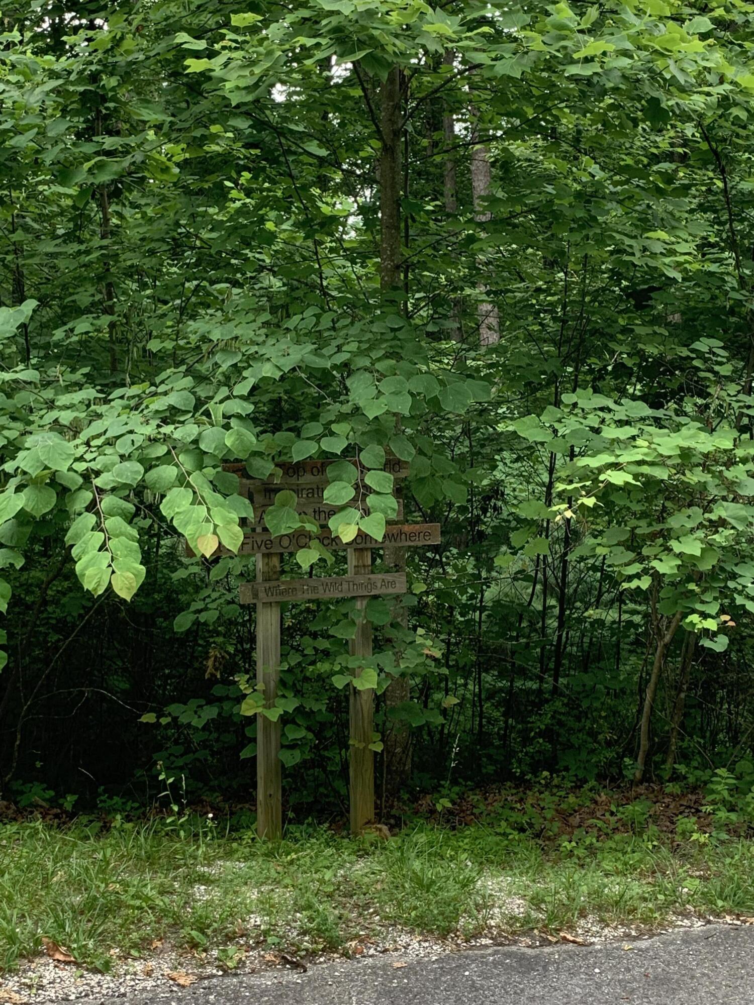 Lot 82 Cliffview Road Zoe, KY 41397 - Photo 11 of 11 IMG_3348