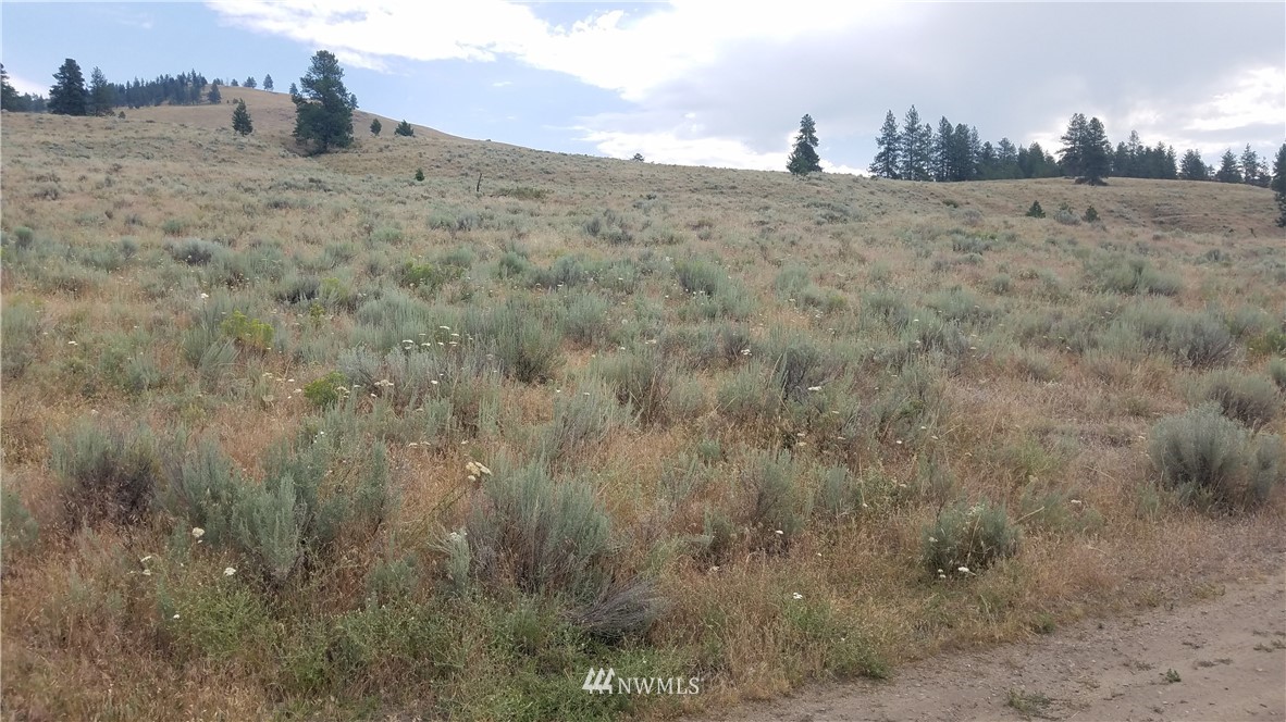 111 Neil Canyon Road Tonasket, WA 98855 - Photo 11 of 14