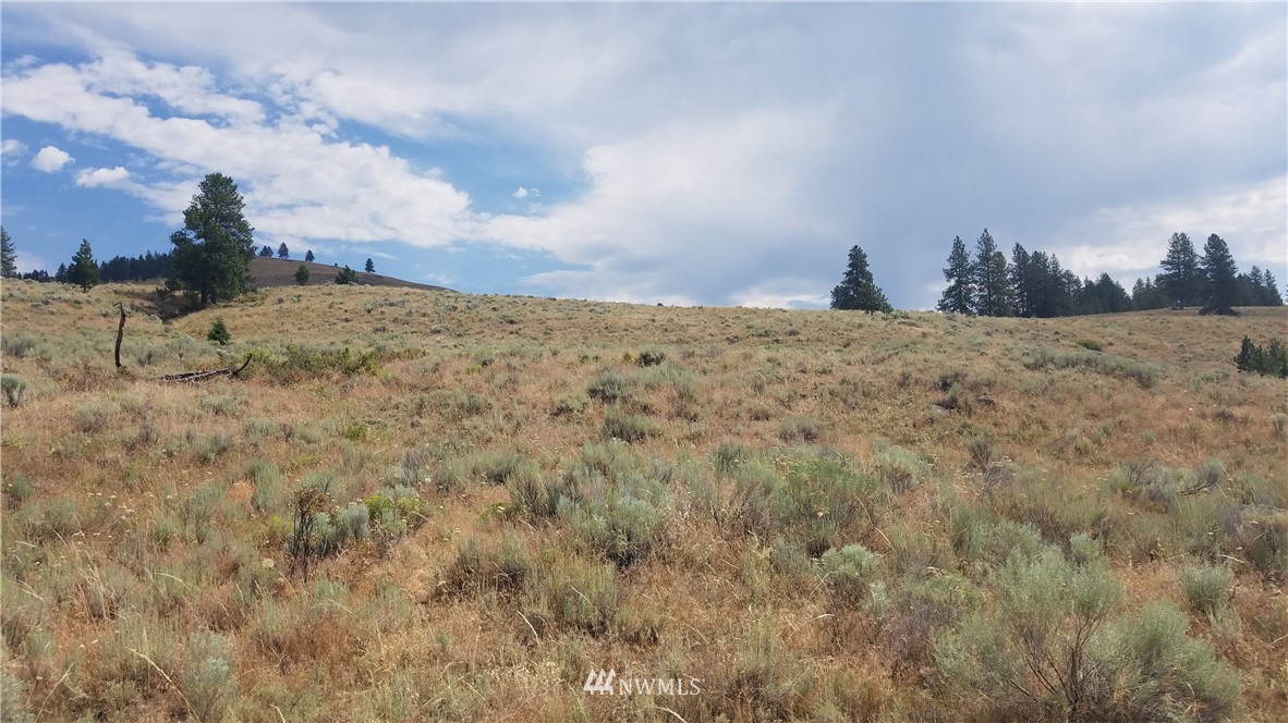 111 Neil Canyon Road Tonasket, WA 98855 - Photo 12 of 14