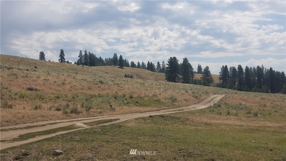 111 Neil Canyon Road Tonasket, WA 98855 - Photo 13 of 14