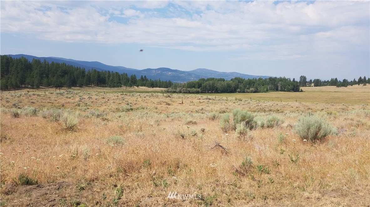 111 Neil Canyon Road Tonasket, WA 98855 - Photo 14 of 14