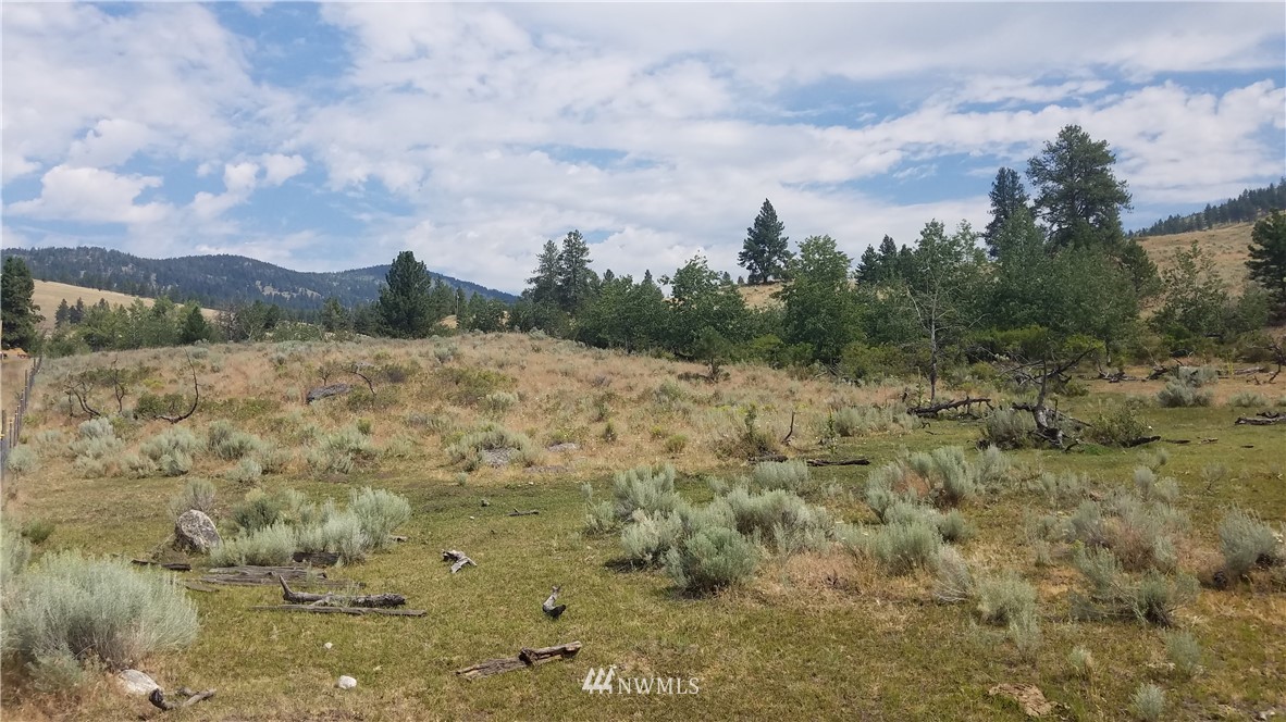 111 Neil Canyon Road Tonasket, WA 98855 - Photo 3 of 14