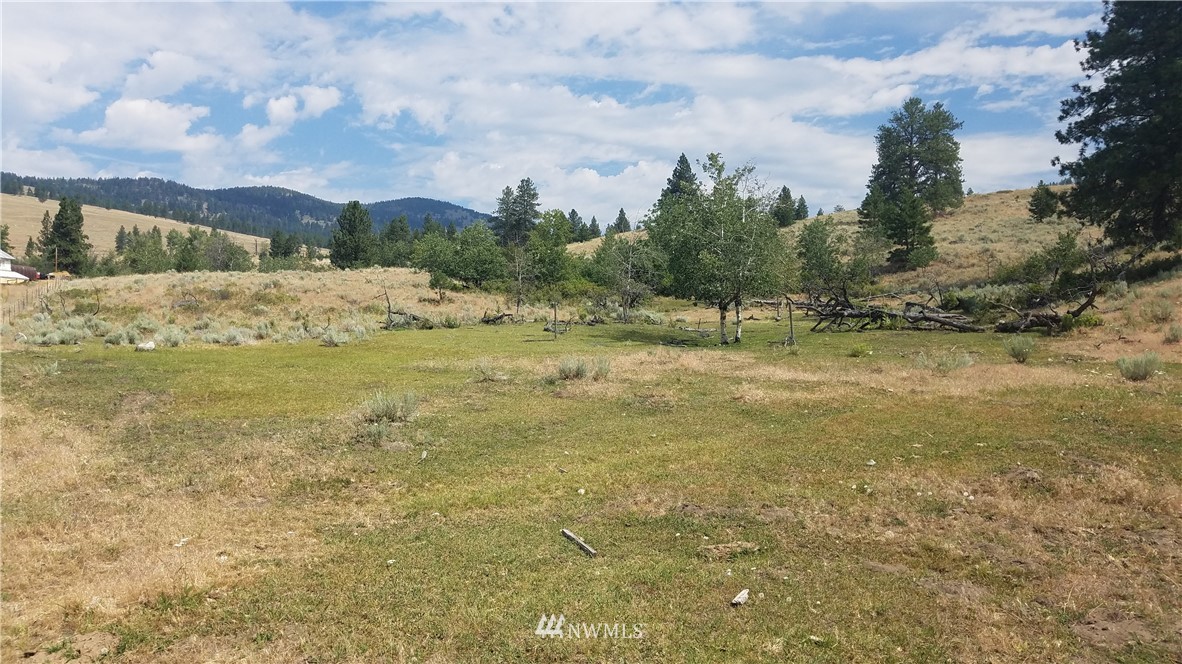 111 Neil Canyon Road Tonasket, WA 98855 - Photo 4 of 14