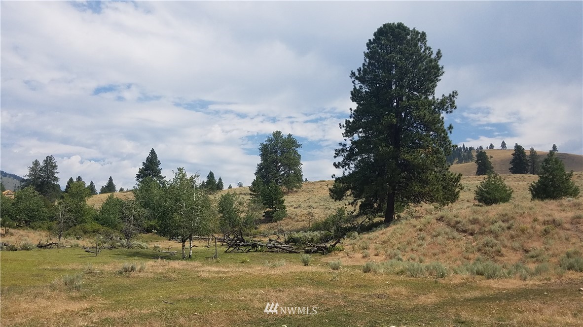 111 Neil Canyon Road Tonasket, WA 98855 - Photo 5 of 14
