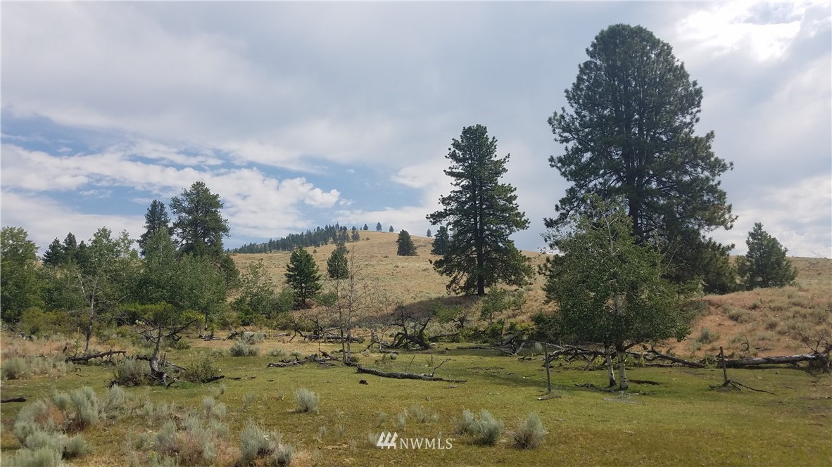 111 Neil Canyon Road Tonasket, WA 98855 - Photo 6 of 14