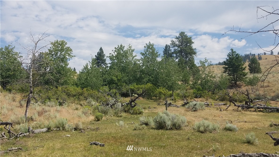 111 Neil Canyon Road Tonasket, WA 98855 - Photo 7 of 14