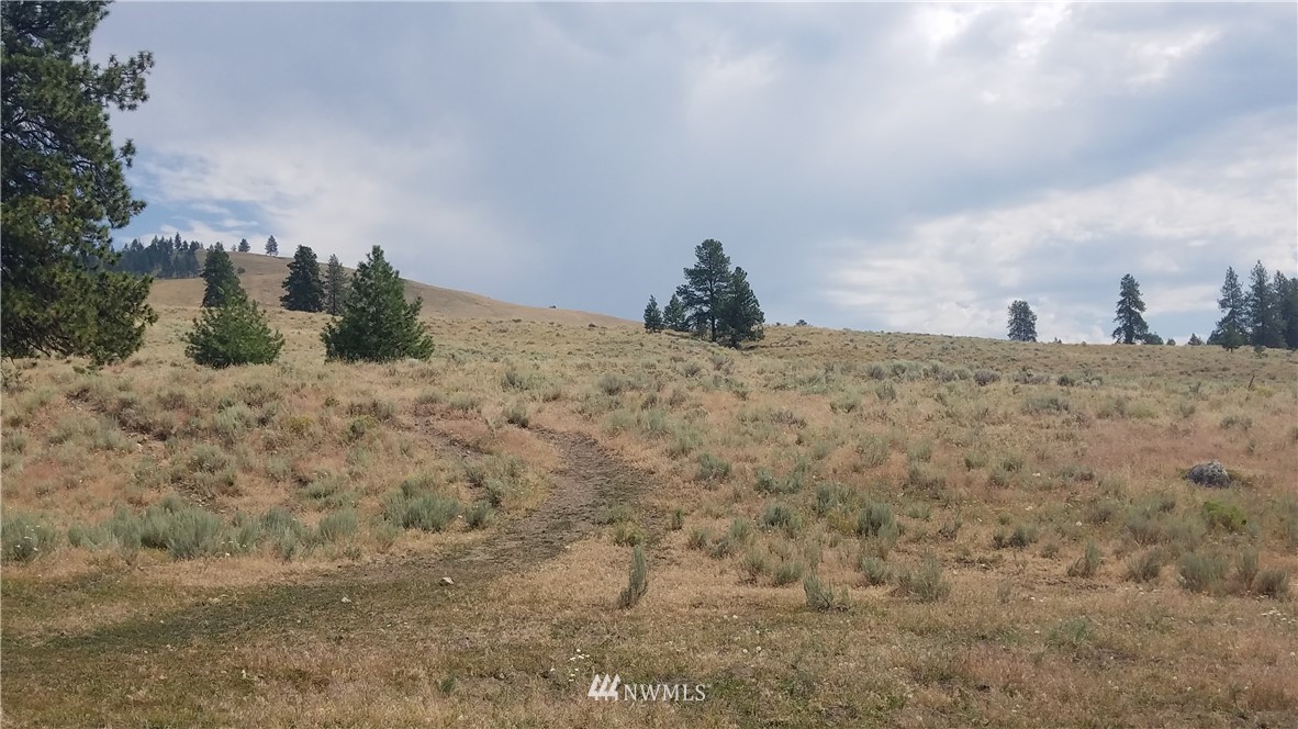 111 Neil Canyon Road Tonasket, WA 98855 - Photo 8 of 14