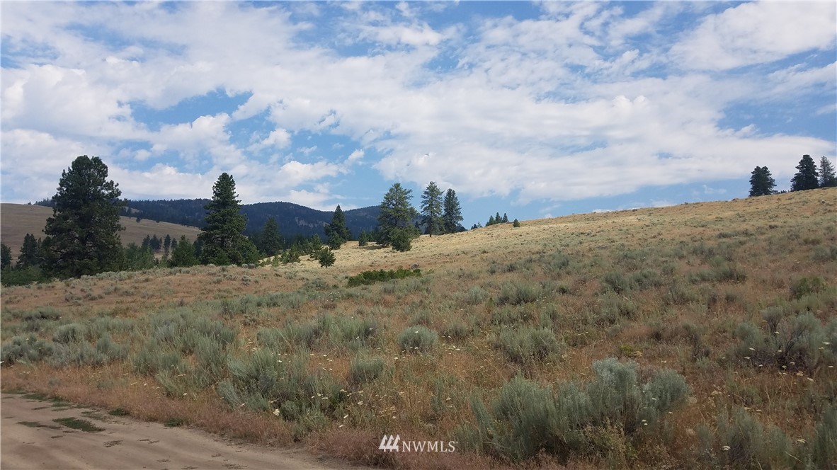 111 Neil Canyon Road Tonasket, WA 98855 - Photo 9 of 14