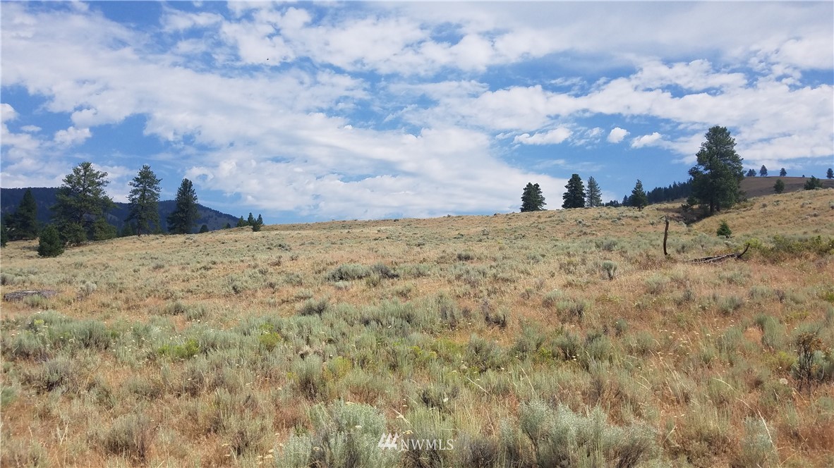 111 Neil Canyon Road Tonasket, WA 98855 - Photo 10 of 14