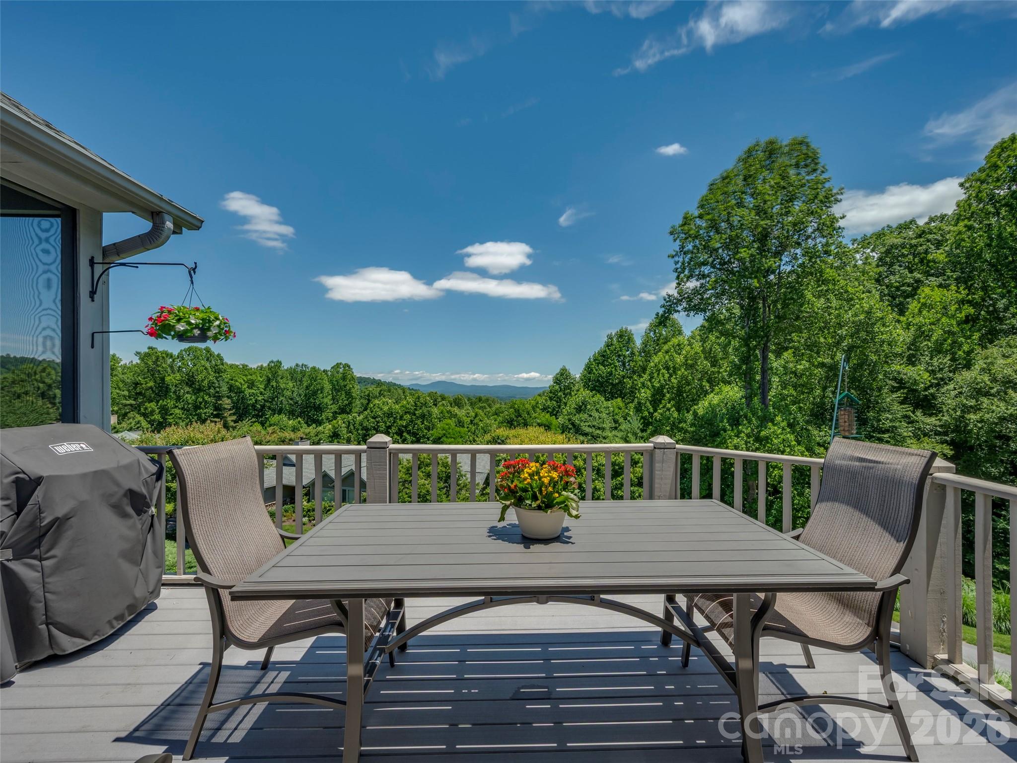 2 Meadow Ridge Lane Hendersonville, NC 28739 - Photo 27 of 48