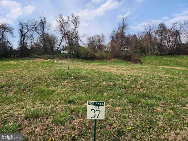 a view of a back yard