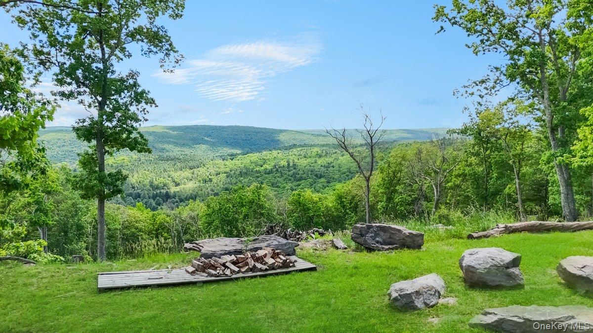 125 Mapes Road Barryville, NY 12719 - Photo 44 of 45