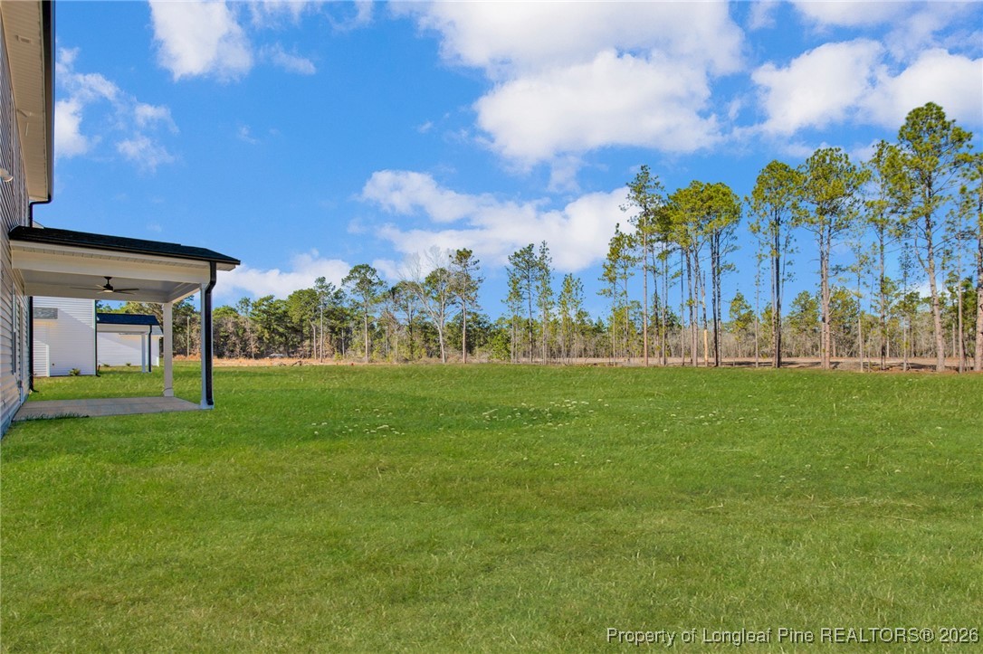 161 Merle Road Pinebluff, NC 28373 - Photo 39 of 39