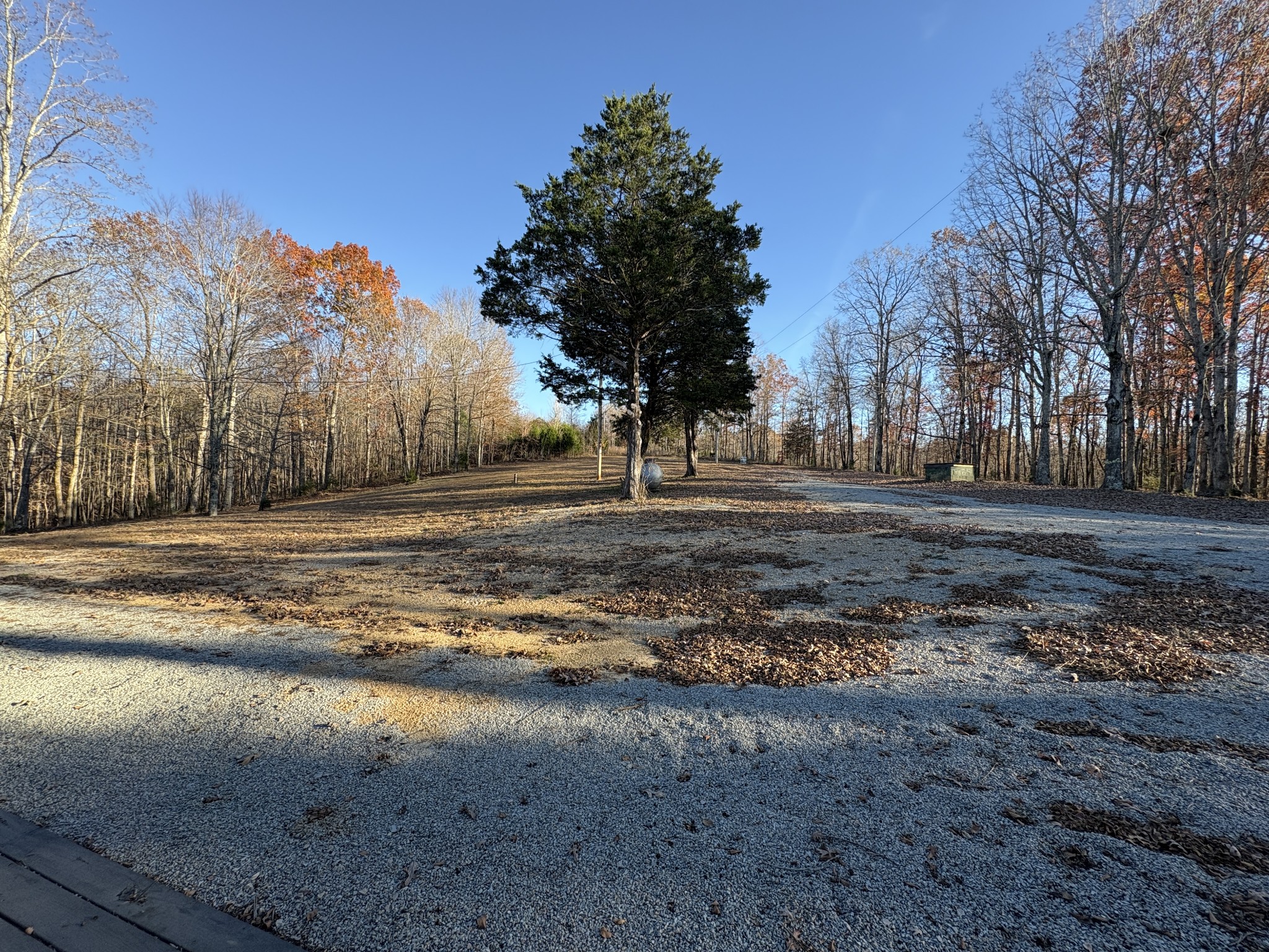 298 Leonard Jackson Road Waynesboro, TN 38485 - Photo 24 of 100 a view of dirt yard with large trees