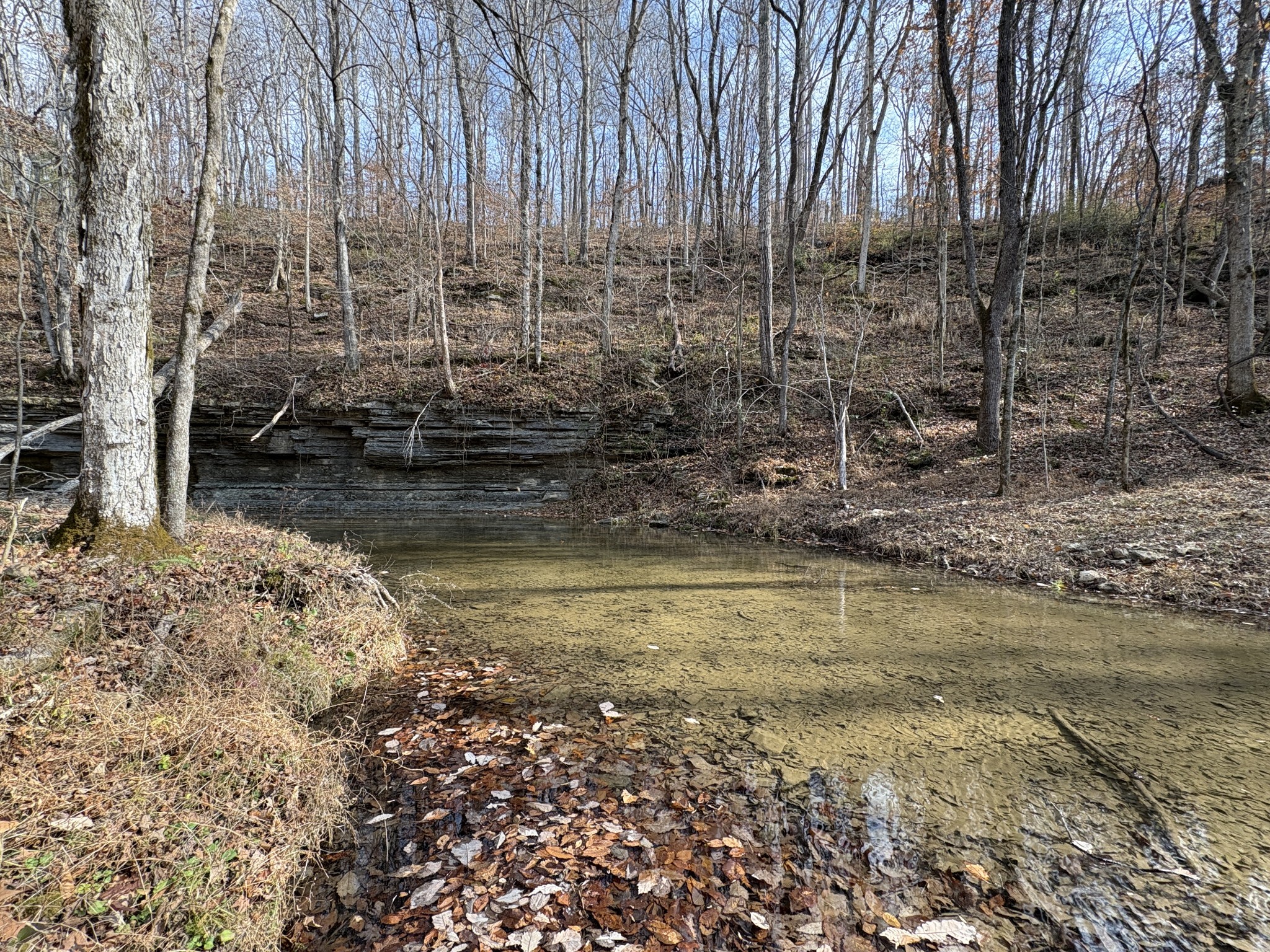 298 Leonard Jackson Road Waynesboro, TN 38485 - Photo 34 of 100