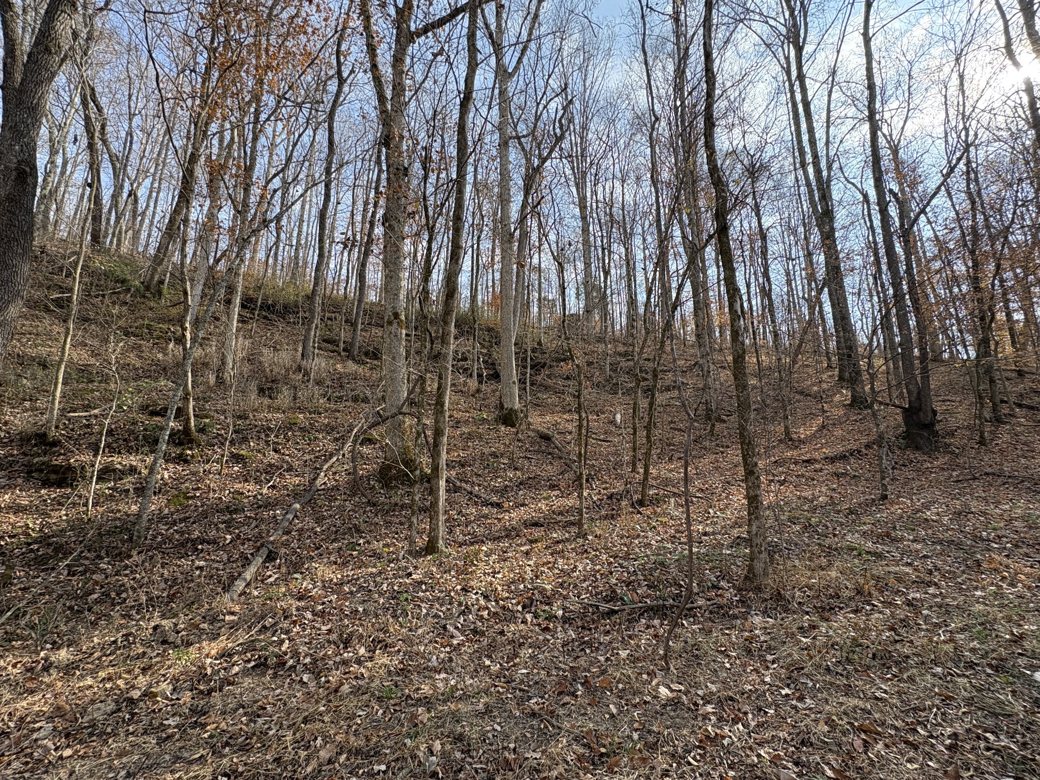 298 Leonard Jackson Road Waynesboro, TN 38485 - Photo 39 of 100 a backyard of a house with lots of green space