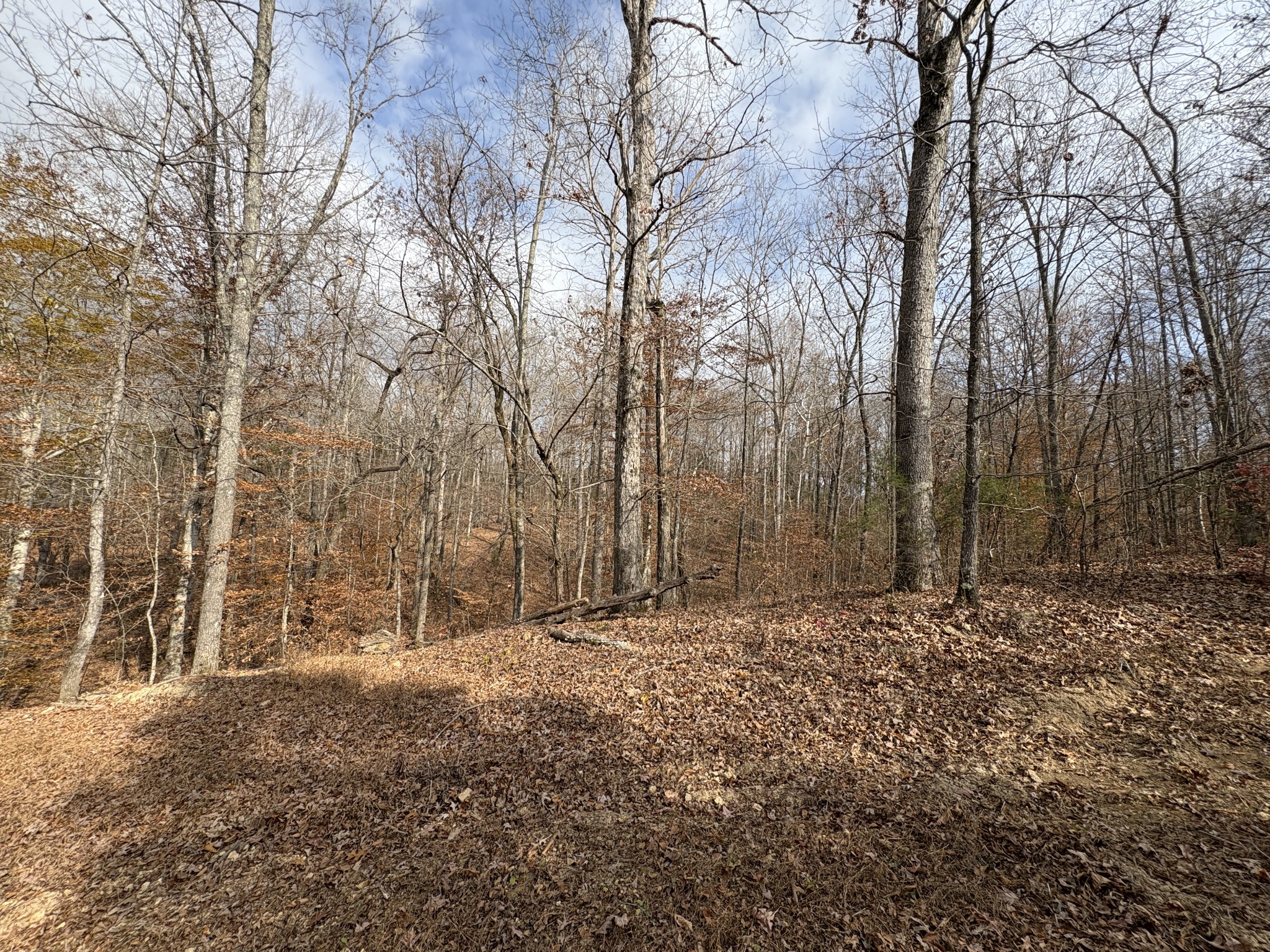 298 Leonard Jackson Road Waynesboro, TN 38485 - Photo 40 of 100