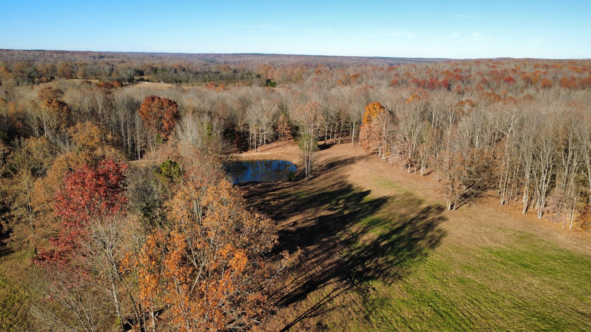298 Leonard Jackson Road Waynesboro, TN 38485 - Photo 45 of 100 a view of a houses with a yard