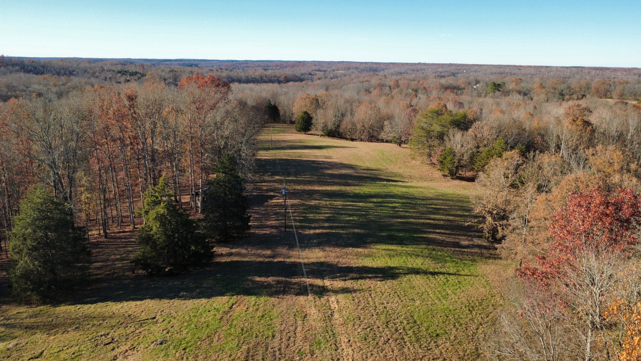 298 Leonard Jackson Road Waynesboro, TN 38485 - Photo 46 of 100