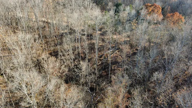 $1,100,000 | 298 Leonard Jackson Road, Waynesboro, TN 38485