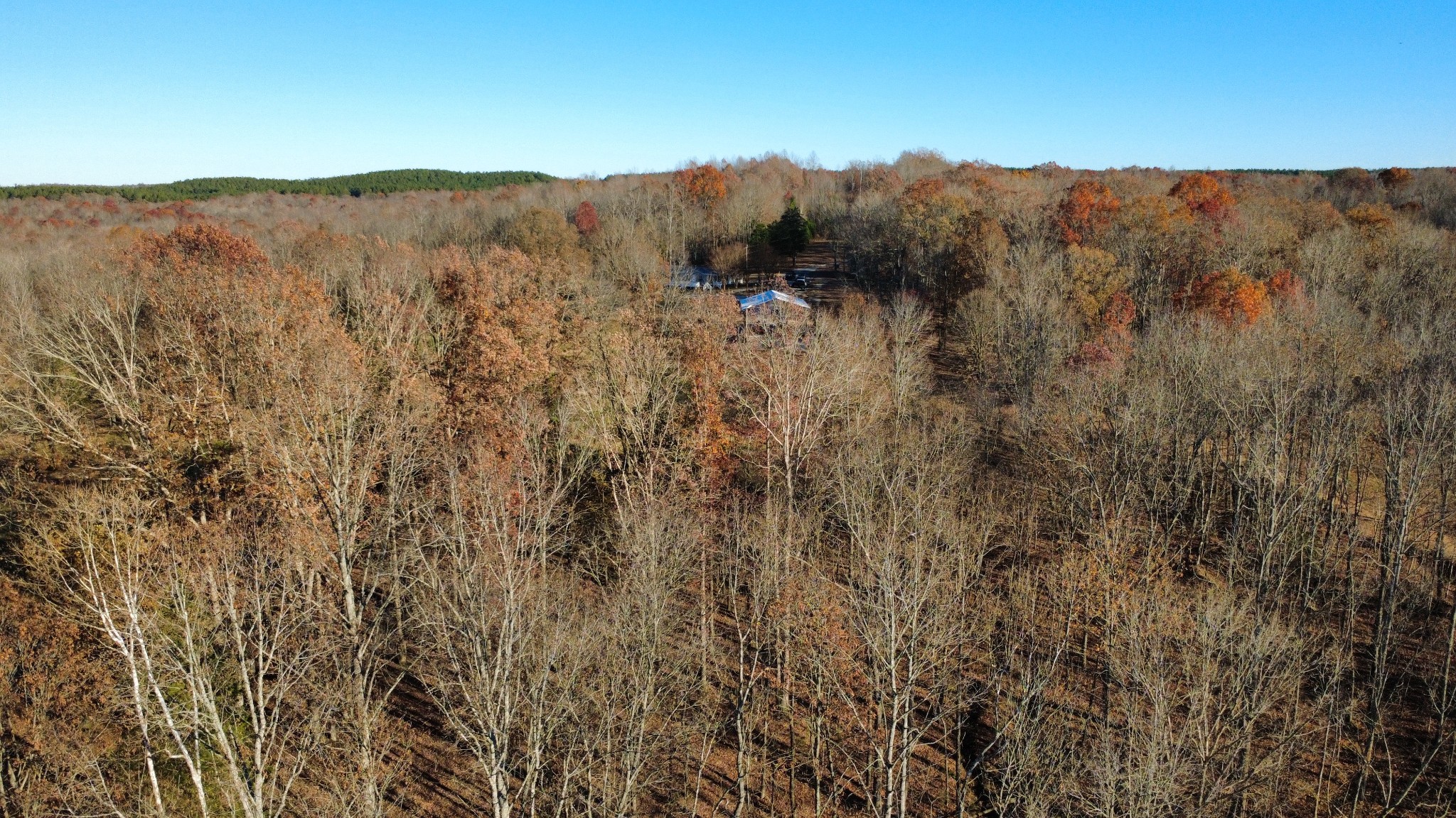 298 Leonard Jackson Road Waynesboro, TN 38485 - Photo 59 of 100 a view of a top of a house with a mountain
