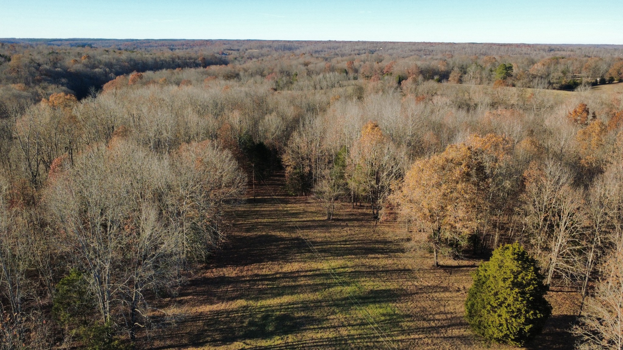 298 Leonard Jackson Road Waynesboro, TN 38485 - Photo 62 of 100
