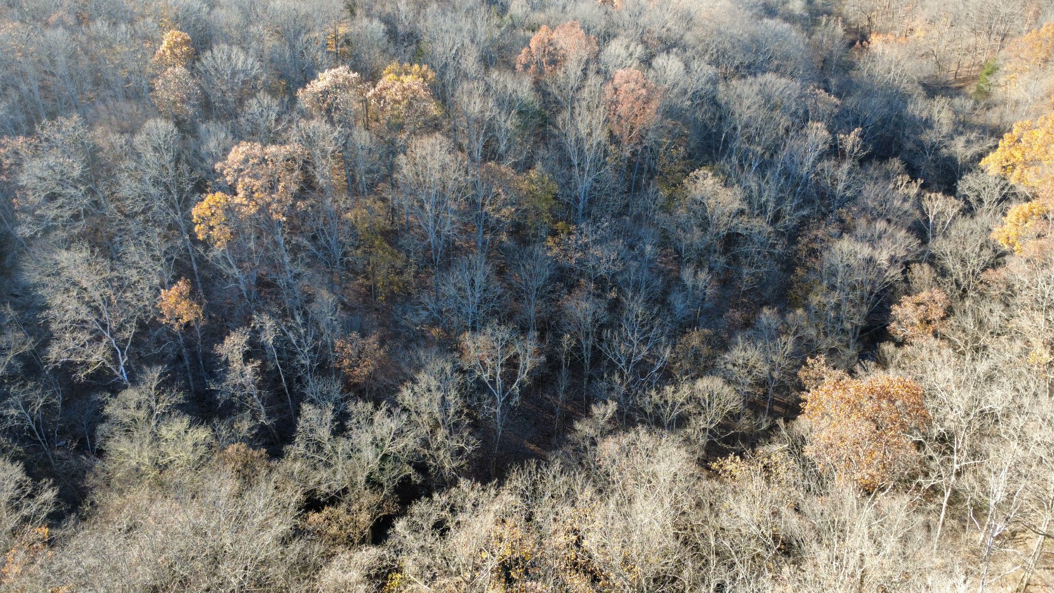 298 Leonard Jackson Road Waynesboro, TN 38485 - Photo 63 of 100