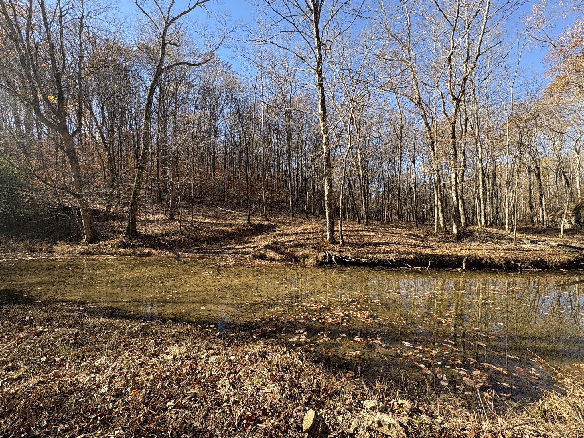 298 Leonard Jackson Road Waynesboro, TN 38485 - Photo 65 of 100