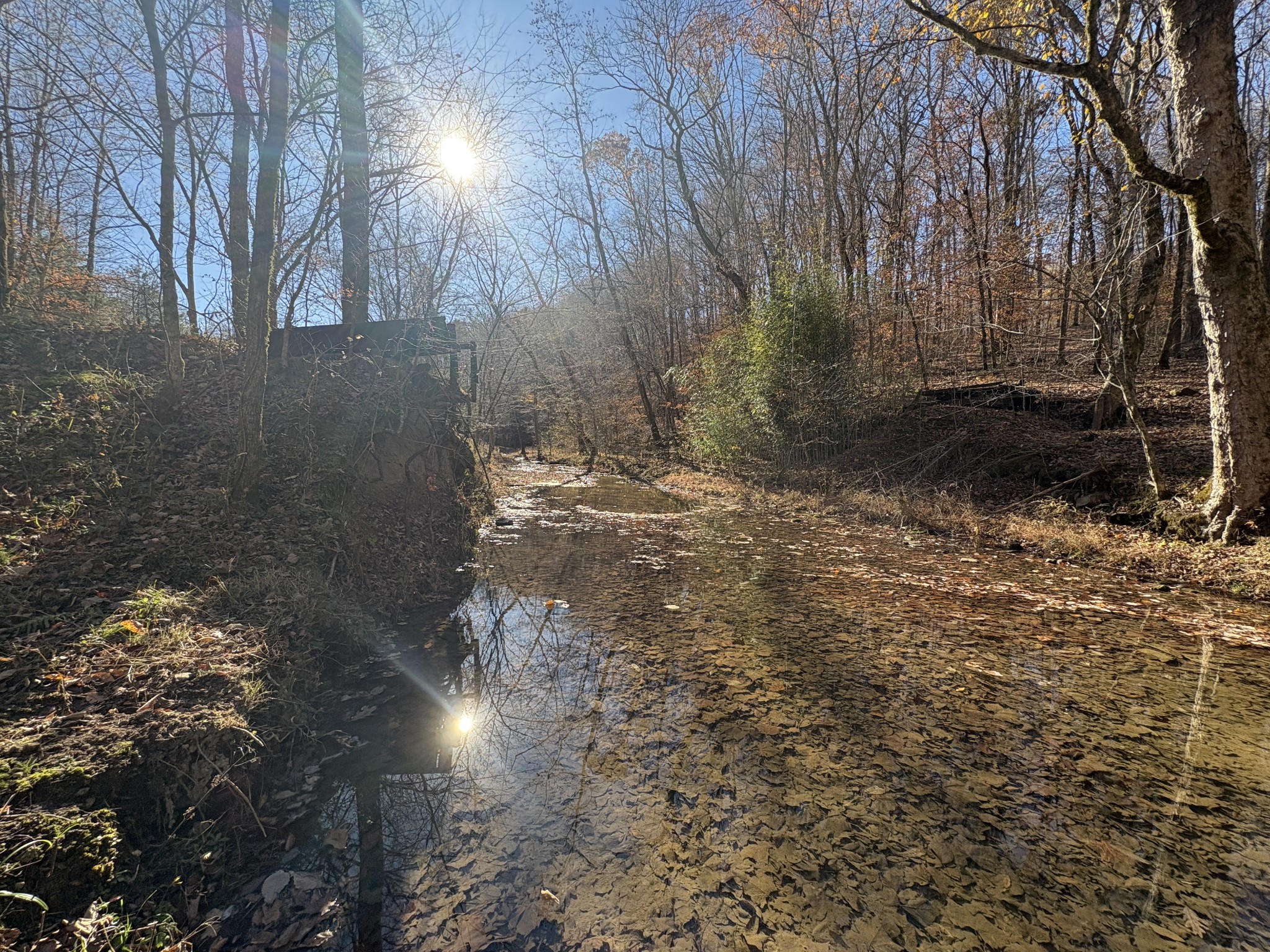 298 Leonard Jackson Road Waynesboro, TN 38485 - Photo 68 of 100 a view of water yard with trees