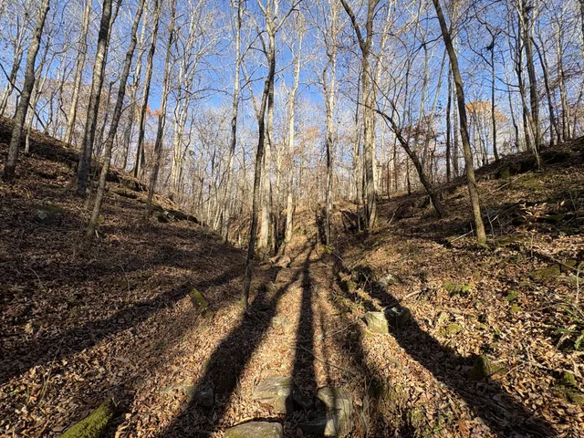 $1,100,000 | 298 Leonard Jackson Road, Waynesboro, TN 38485