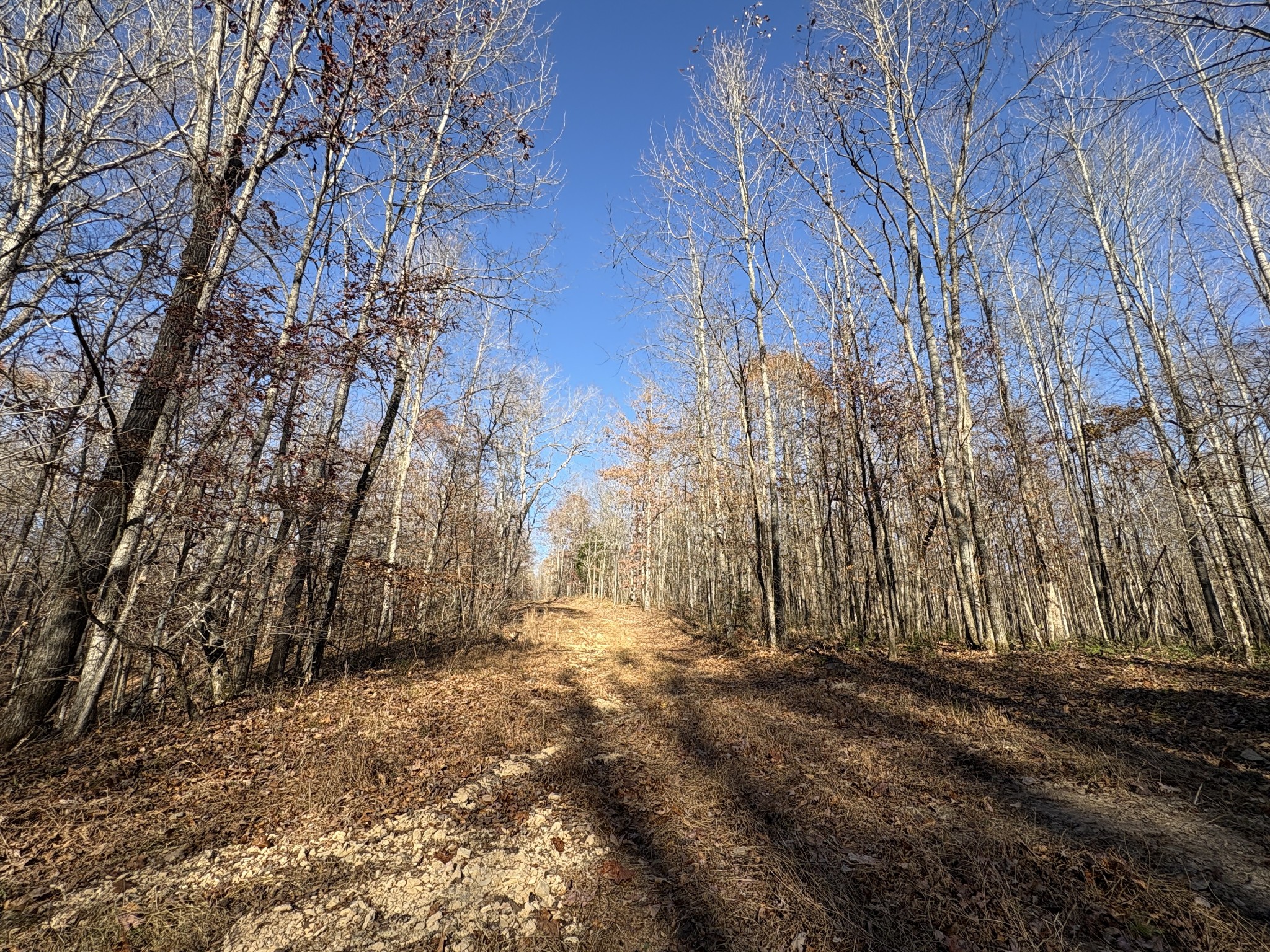 298 Leonard Jackson Road Waynesboro, TN 38485 - Photo 81 of 100