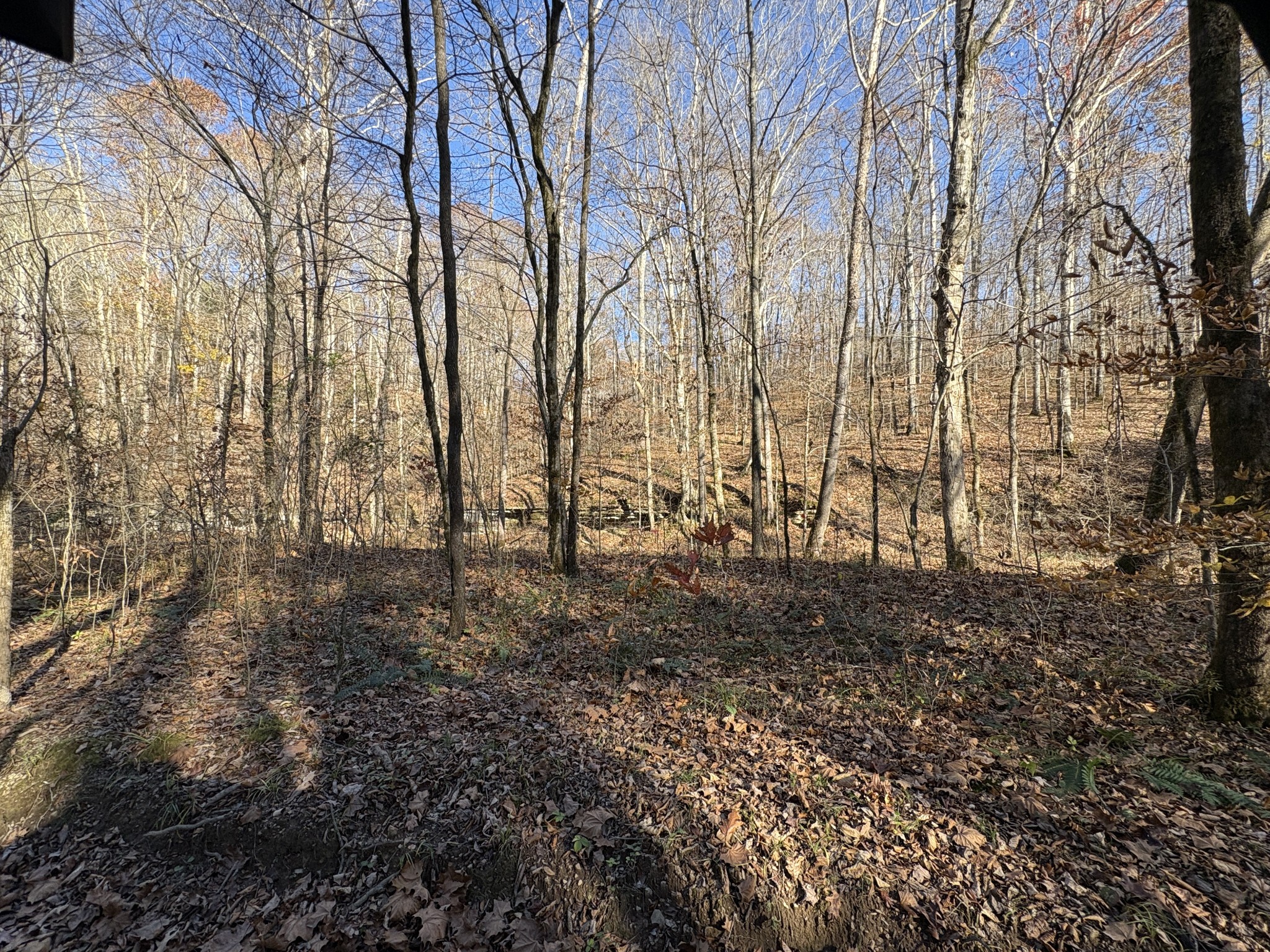 298 Leonard Jackson Road Waynesboro, TN 38485 - Photo 88 of 100