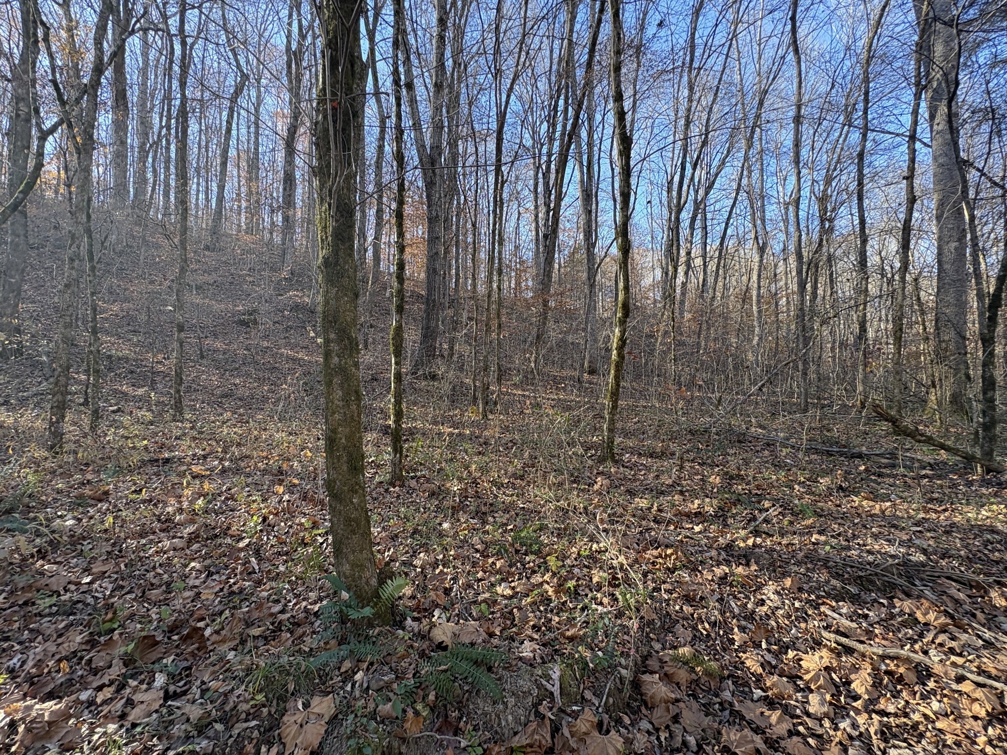298 Leonard Jackson Road Waynesboro, TN 38485 - Photo 89 of 100