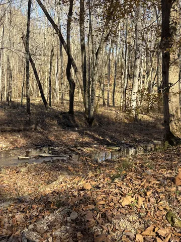 $1,100,000 | 298 Leonard Jackson Road, Waynesboro, TN 38485